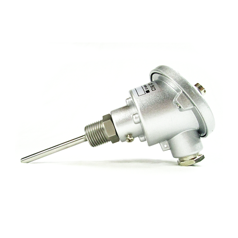 Head temperature probe